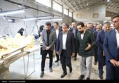 بررسی میدانی چالش‌های واحدهای تولیدی در کارگروه تسهیل و رفع موانع تولید اردبیل