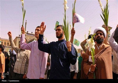 شور و شکوه سالروز ورود بانوی کرامت به قم