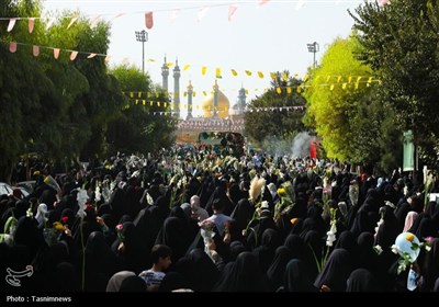 قم،تشيع،حضرت،معصومه،ايران،تاريخ،زيارت،قرن،–،شهر،علمي،حضور،هج ...