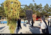 هشتمین جشنواره انگور ارومیه