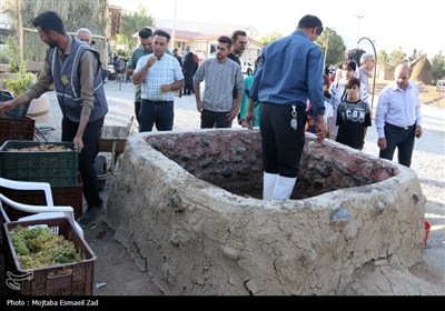 هشتمین جشنواره انگور ارومیه