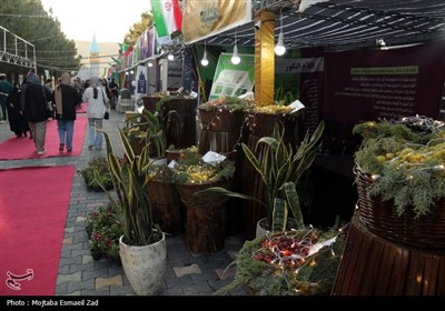 هشتمین جشنواره انگور ارومیه