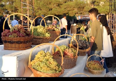 هشتمین جشنواره انگور ارومیه