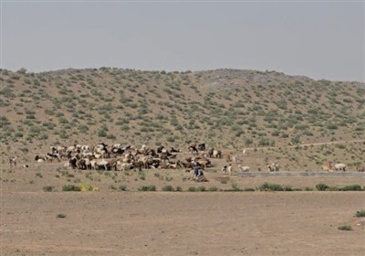 طبيعي،منابع،درميان،شهرستان،اداره،آبخيزداري،تخلفات