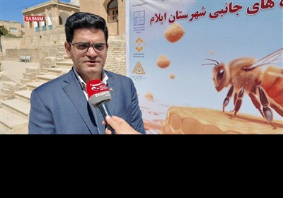جشنواره،عسل،كارآفريني،ايلام،اميد،صندوق،استان،زنبور،تسنيم