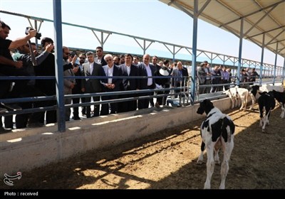 سفر استاندار خراسان شمالی به شیروان
