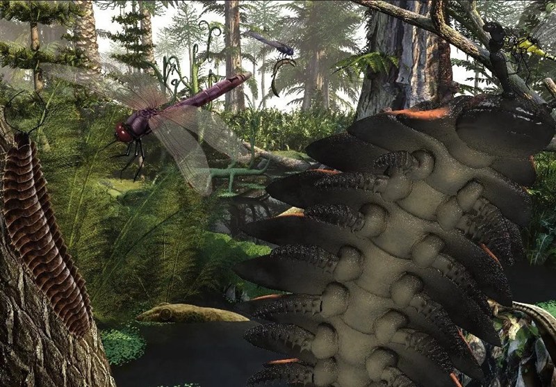 Fossilized Amber Preserves Prehistoric Insects from Age of Dinosaurs