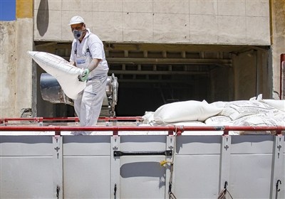 جويبار،احتكار،پرونده،اساسي،اخلال،آرد،دادستان،قضايي