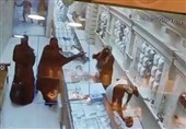 دزدان طلافروشی دَرگهانِ قشم به دام افتادند/ بازگشت 8 کیلو طلا به مالباخته