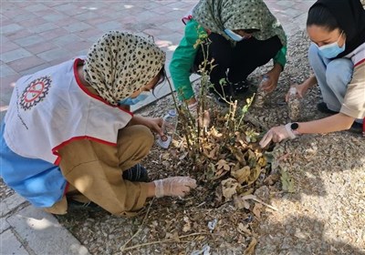 دخانيات،ورامين،شهرستان،مبارزه،محيط،شاهسون،پويش،استعمال،زيست