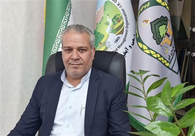 استان،توليد،طرح،سمنان،نهال،كاشت،طبيعي،منابع،زراعت،چوب،اجراي، ...