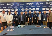 برگزاری نشست سالانه کمیسیون رسانه اتحادیه جهانی کشتی با حضور عضو ایرانی