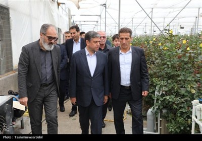 بازدید استاندار اردبیل از 4 واحد تولیدی سرعین با اشتغال 550 نفر
