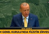 اردوغان: نتانیاهو به دنبال اشغال، الحاق و از بین بردن چشم انداز دولت فلسطینی است