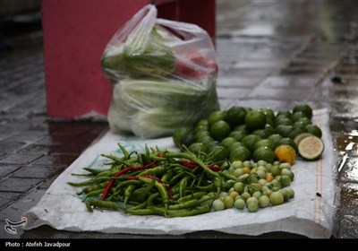 رشت بارانی؛ آغاز شاعرانه پاییز در قلب گیلان