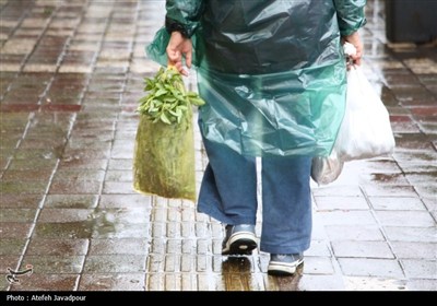 رشت بارانی؛ آغاز شاعرانه پاییز در قلب گیلان