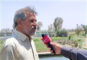 چاهک‌های آب عامل رونق کشاورزی و شیلات در زهک
