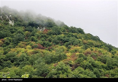 هوای مه آلود اشکور گیلان