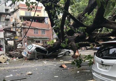 طوفان،مركز،شرق،نفر،جنوب،چين،تايلند،اداره،مناطق،سيلاب،تايوان، ...