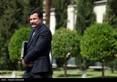 عبدالکریم حسین‌زاده معاون رئیس‌جمهور در امور توسعه روستایی و مناطق محروم کشور در حاشیه جلسه هیئت دولت