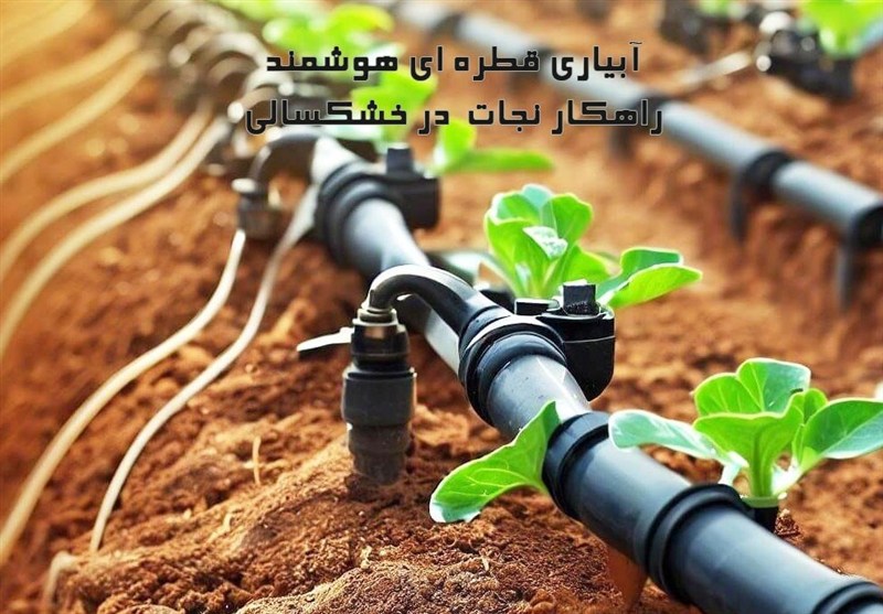 آبیاری قطره ای هوشمند؛ راهکار نجات بخش کشاورزان در سال های خشک