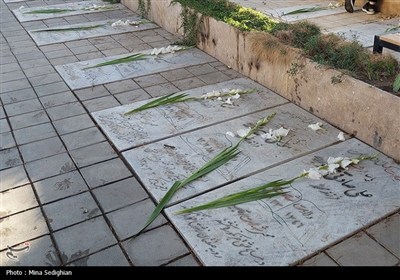آئین میهمانی لاله‌ها در امامزاده محمد (ع) کرج