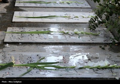آئین میهمانی لاله‌ها در امامزاده محمد (ع) کرج