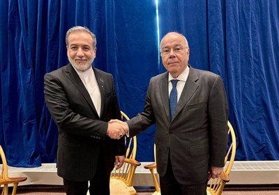 خارجه،امور،ايران،چندجانبه،يكجانبه،تبادل،برزيل