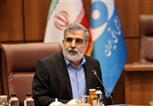 Iran Plans New Nuclear Power Plants in South With Russian Cooperation