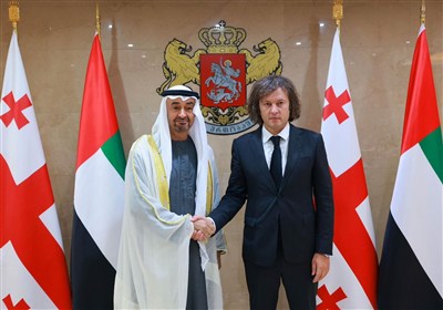 گرجستان،امارات،ديدار،اپوزيسيون،سفر،رئيس،دولت،شركت،تفليس،كريد ...