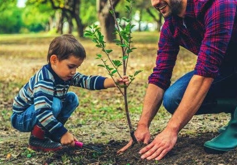 1200 اصله نهال به مناسبت روز مادر در مازندران کاشته شد