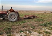 امحاء بیش از 1100 هکتار مزارع آلوده در شیراز