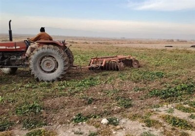 امحاء بیش از 1100 هکتار مزارع آلوده در شیراز