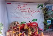 دومین جشنواره ملی سیب در مشگین شهر برگزار شد
