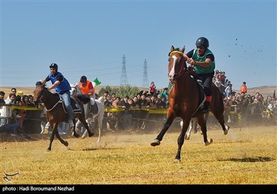 سیزدهمین جشنواره فرهنگی ورزشی جام ستارخان