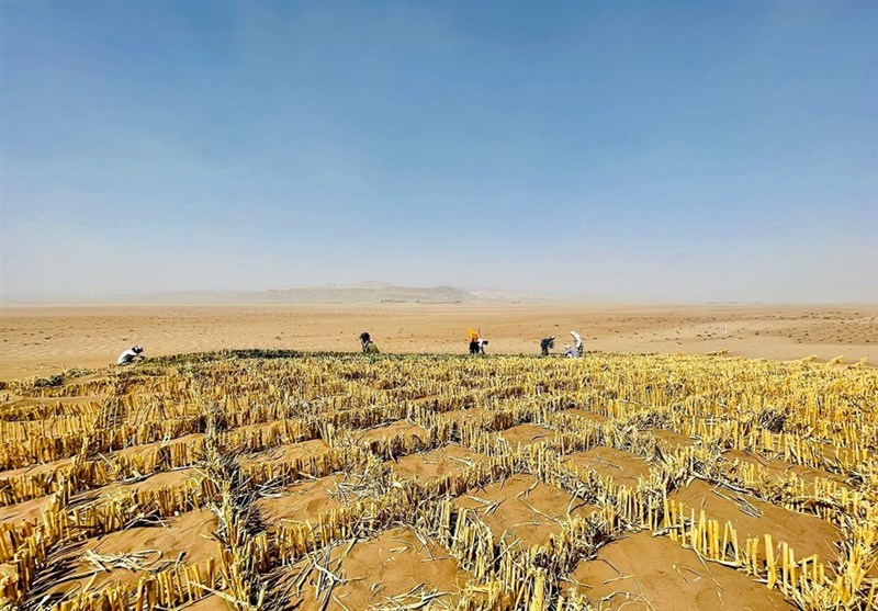 استان سیستان و بلوچستان , بحران گرد و غبار در استان سیستان و بلوچستان , 