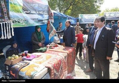 برگزاری دومین جشنواره گردوی ثمرین در میان استقبال پرشور مردم و مسئولان