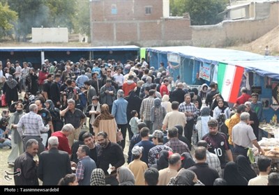 برگزاری دومین جشنواره گردوی ثمرین در میان استقبال پرشور مردم و مسئولان