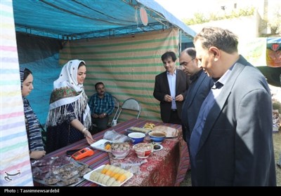 برگزاری دومین جشنواره گردوی ثمرین در میان استقبال پرشور مردم و مسئولان