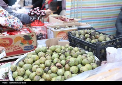 برگزاری دومین جشنواره گردوی ثمرین در میان استقبال پرشور مردم و مسئولان