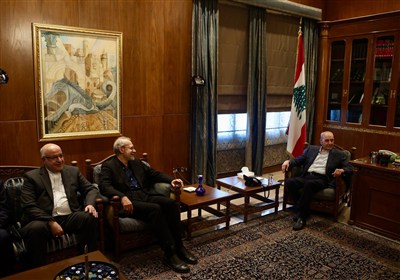 لبنان،دبير،شهيد،امنيت،ديدار