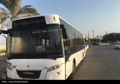 رونمایی از 10 دستگاه اتوبوس ناوگان حمل و نقل عمومی شهرداری بوشهر