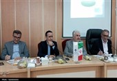 22 درصد نخبگان کهگیلویه و بویراحمد بیکار هستند