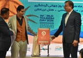 نخستین سکوی هوشمند گردشگری با حضور استاندار بوشهر رونمایی شد+تصاویر