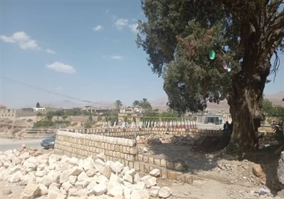 طبيعي،شهرستان،خفر،درخت،حفاظت،حفظ،فرهنگي،ميراث،اهميت،كراده،طاهري