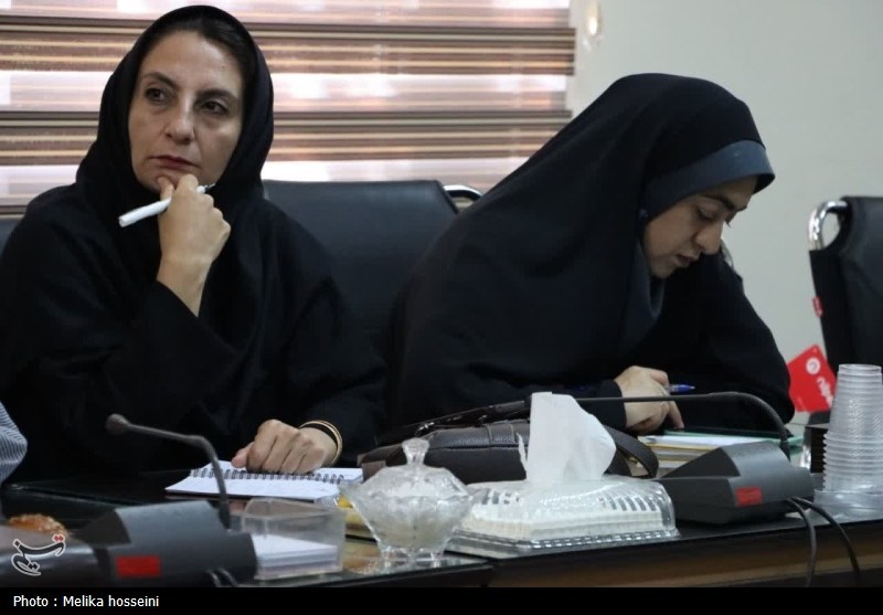 نشست خبری مدیرکل بهزیستی با اصحاب رسانه استان مرکزی- عکس صفح ...