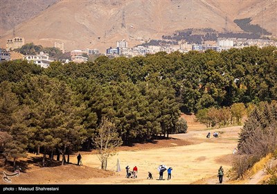 مسابقات برترین‌های گلف کشور