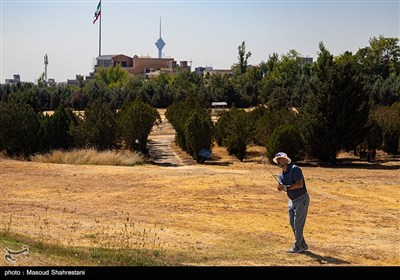 مسابقات برترین‌های گلف کشور