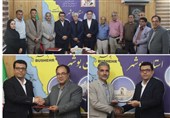 ‌تعاون ظرفیت نقش‌آفرینی در کنار دولت و بخش خصوصی را دارد