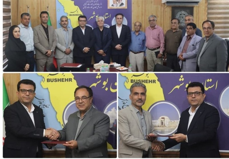 ‌تعاون ظرفیت نقش‌آفرینی در کنار دولت و بخش خصوصی را دارد